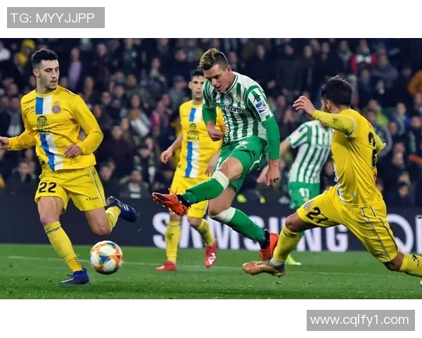 足球sz带你领略全球足球盛事的精彩瞬间与背后的故事