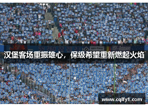 汉堡客场重振雄心，保级希望重新燃起火焰